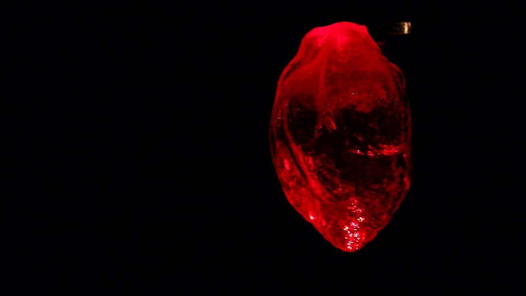Art piece "The Eternal Debate of the Unconcious Mind" in 2016 by Alise Stopina. Blood red heart shaped blown glass, with heart beat pulsiating red light in them. In dark room to show the glow of the piece.
